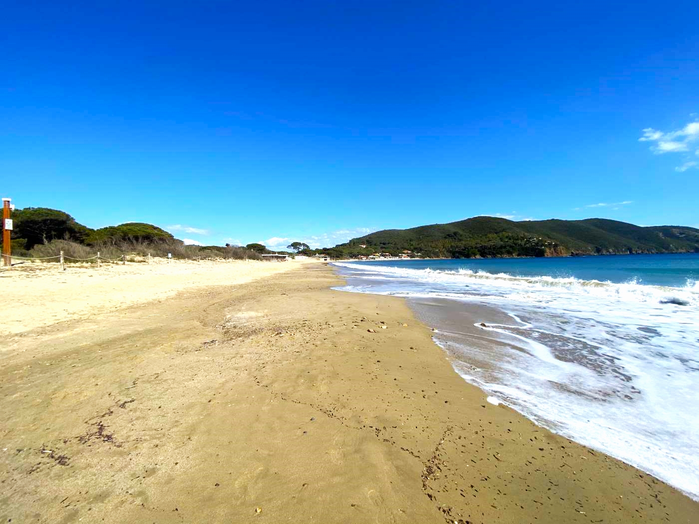 Lacona spiaggia Isola d'Elba